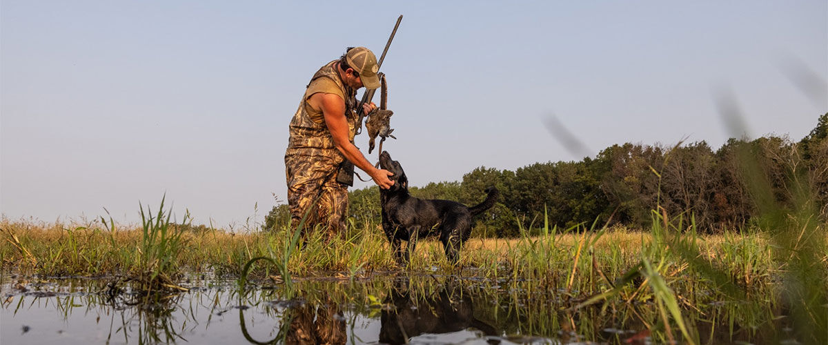 Man petting dog holding shotgun and ducks
