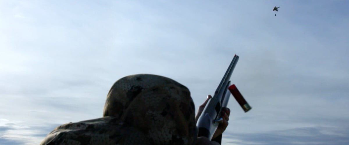 hunter shooting a shotgun at a goose