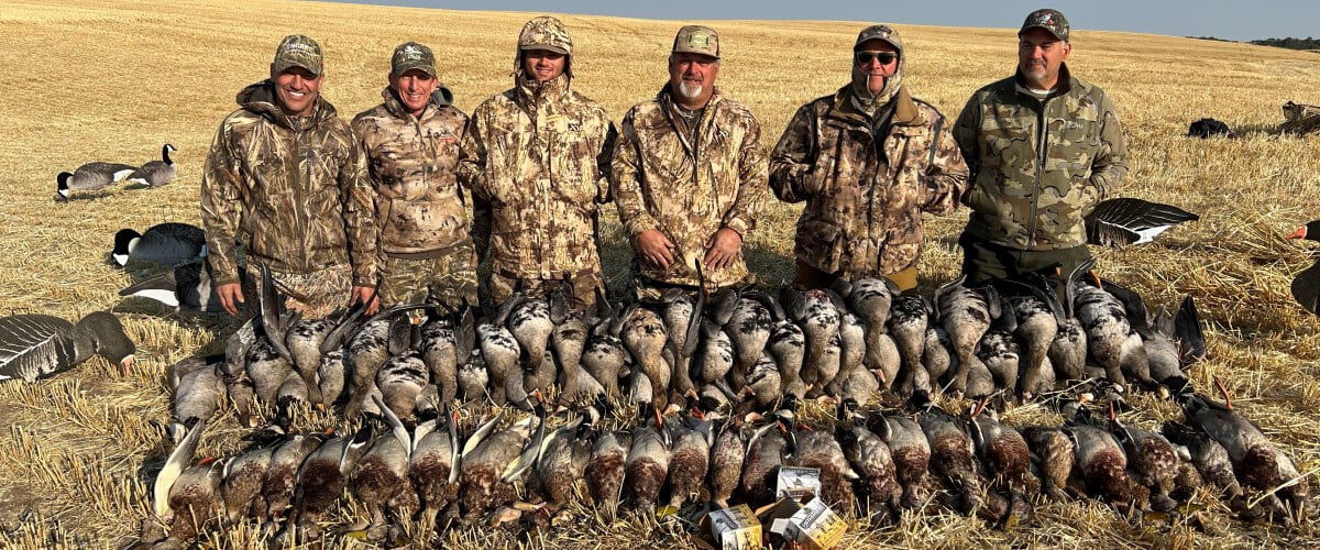Hunters kneeling behind dozens of dead geese
