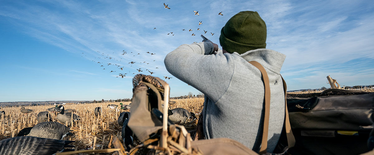 shooter aiming at flying waterfowl from a blind