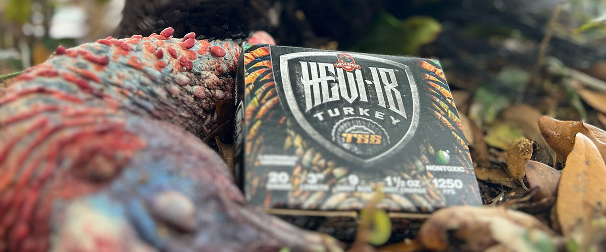 dead turkey with a box of HEVI-18 Turkey