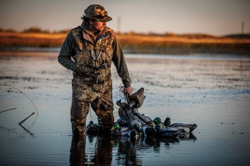 Beau Brooks pulling duck decoys in a pond