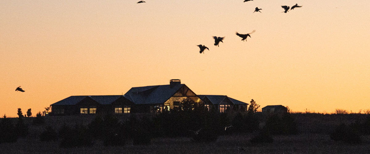 FowlCo Lodge at dusk with ducks flying in the air