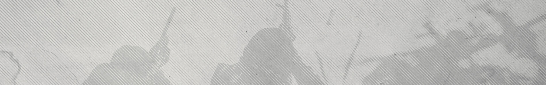 Hunter and his dog camouflaged