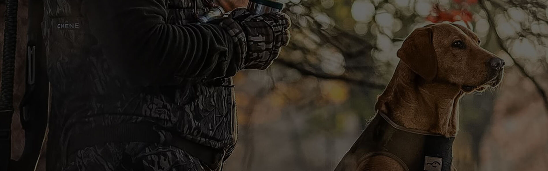 dog standing by a tree with a shotgun resting on it