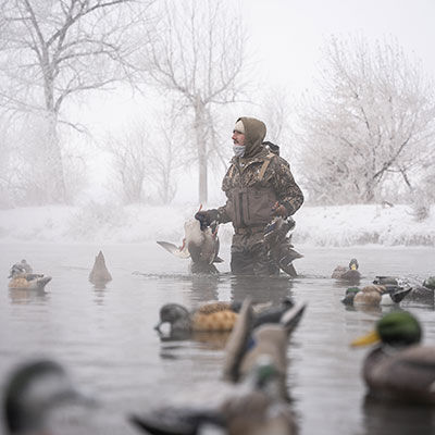 How to Hunt Ducks in Timber, Rivers, Lakes & Fields 