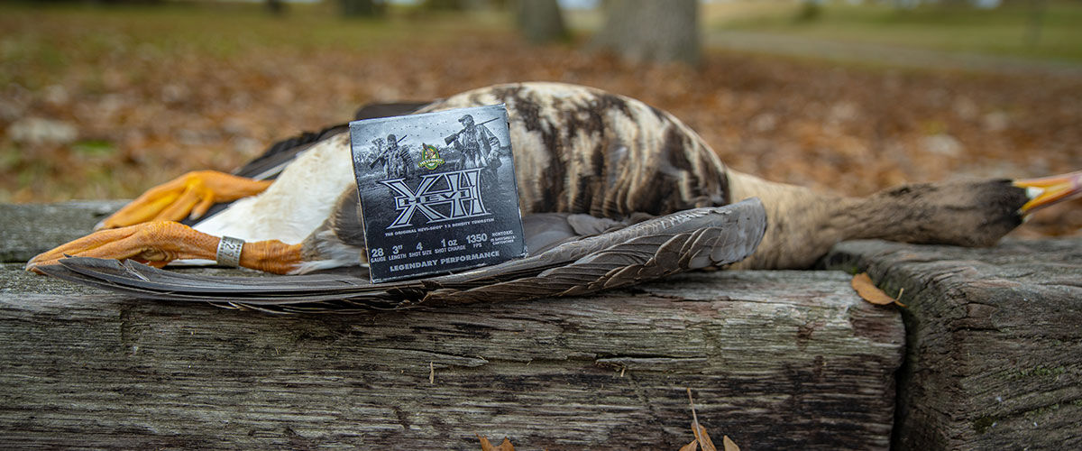 HEVI-XII shotgun shells falling out of the box