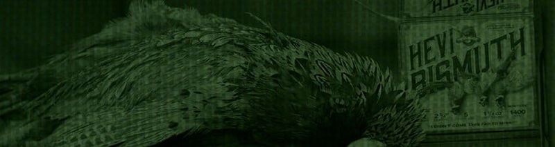 2 hunters crouching next to corn field