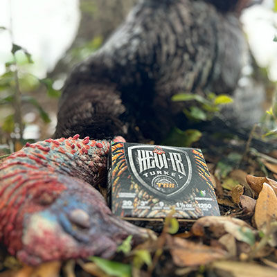 The Best 20‑Gauge Turkey Loads 