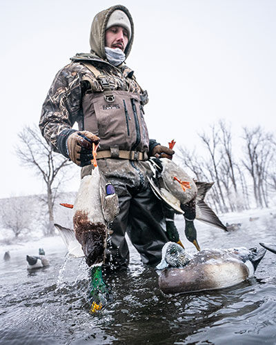 hunter carrying dead ducks through the water