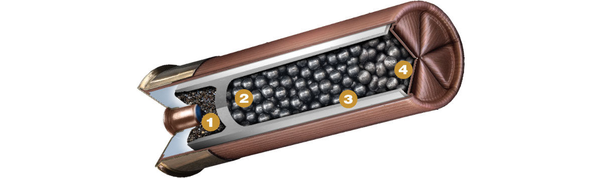 HEVI-Hitter rendering