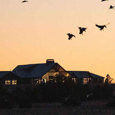 FowlCo Outfitters with Seth Dortch