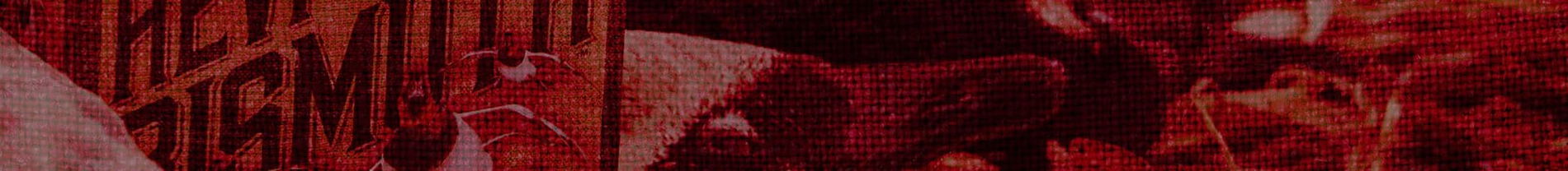 hunters carrying dead turkeys on their backs